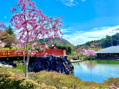 Minoh, Katsuoji Temple, & Minoh Falls Full-day Tour