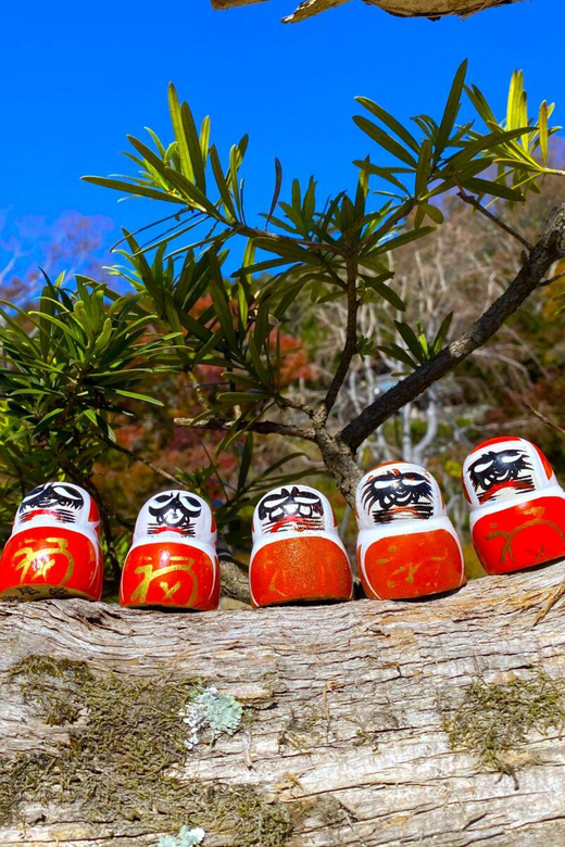 Osaka: Minoh, Katsuoji Temple, & Minoh Falls Full-day Tour - Price and value: is $135 a good deal?