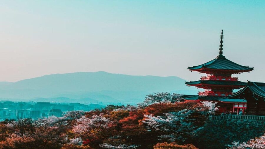 Osaka : Must-see & Hidden Gems Walking Tour - Osaka Castle Park and the four-century near robbery story
