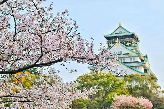 Osaka, Nara and Kyoto Day Trip with English Speaking Driver - Key highlights at a glance