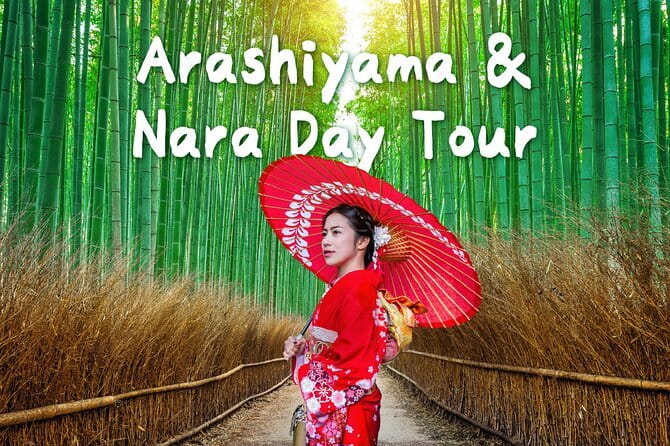 Osaka, Nara and Kyoto Day Trip with English Speaking Driver - Pacing that works, and the one risk that needs attention