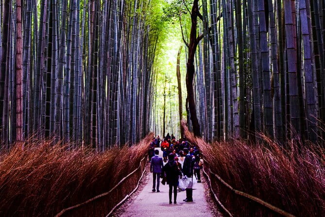 Osaka, Nara and Kyoto Day Trip with English Speaking Driver - Who should book this Osaka, Nara and Kyoto day trip