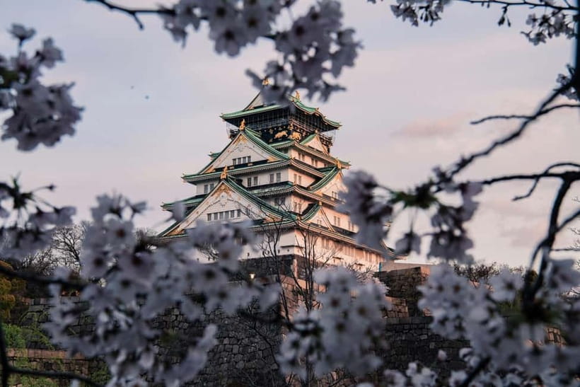 Osaka/Nara/Kyoto: Private Customized Tour with English Guide - Pickup, private vehicle, and the 10-hour pacing