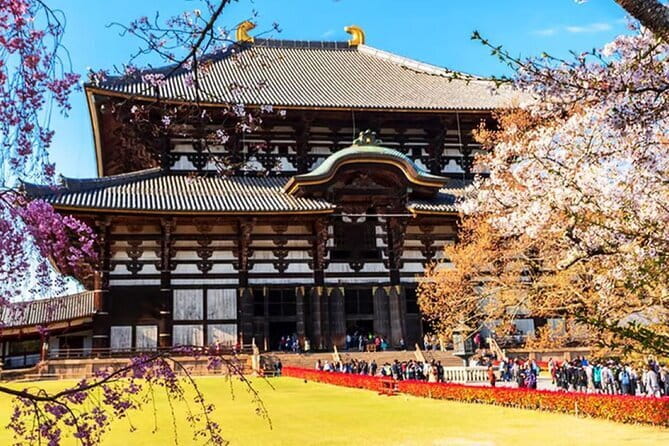 Osaka: Nara, Todaiji, Uji Matcha, and Hot Spring Tour - The Real Selling Point: One Guided Route, Two Icons, One Reset Soak