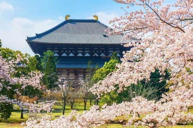 Osaka: Nara, Todaiji, Uji Matcha, and Hot Spring Tour - Start Smart at 8:30 AM, and Plan for a Full Day Body