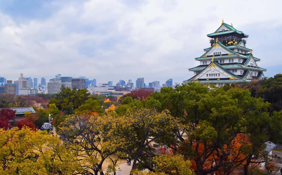 Osaka: Osaka Castle 3 hours Historical Walking Tour - A great way to see Osaka Castle without feeling rushed
