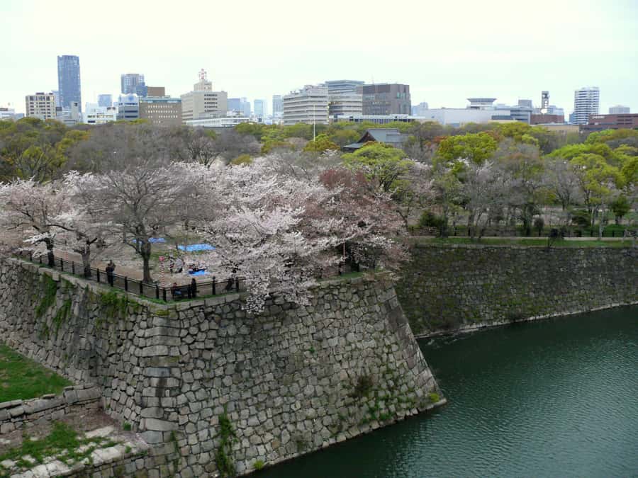 Osaka: Osaka Castle 3 hours Historical Walking Tour - Panoramic city views from the observation deck