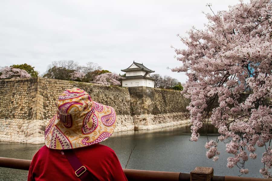 Osaka: Osaka Castle 3 hours Historical Walking Tour - Nishinomaru Garden: calm former samurai residence time