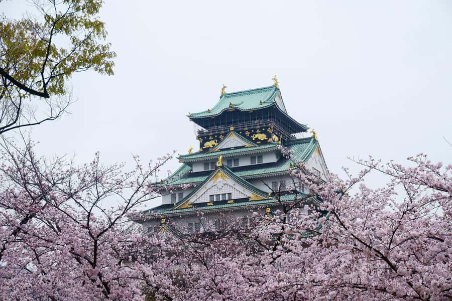 Osaka: Osaka Castle 3 hours Historical Walking Tour - Osaka Castle Park: where locals jog and practice martial arts