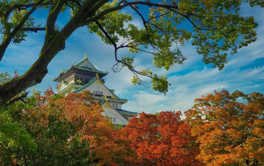 Osaka: Osaka Castle 3 hours Historical Walking Tour - Miraiza Osaka: when Japan’s 1900s story joins the castle complex