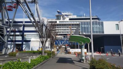 Private 4/5/6h Tour For Cruise Ship Passengers