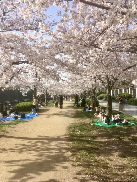 Osaka: Private and Fully Customized Tour with Hotel Meet Up - Key points worth your attention
