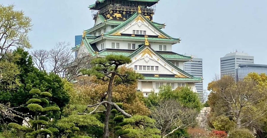 Osaka: Private and Fully Customized Tour with Hotel Meet Up - Optional cultural lanes and a shrine finish, depending on your customized route