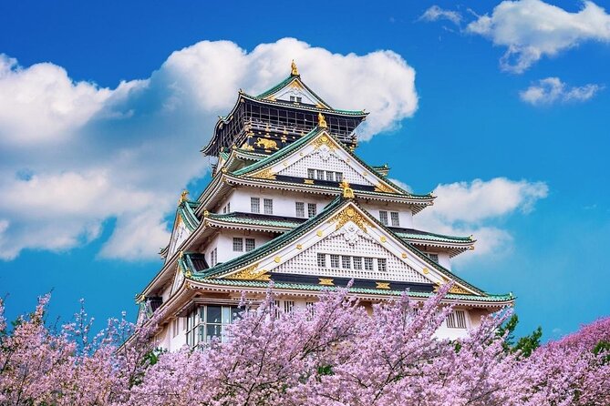 Osaka Private Cherry Blossom Tour with a Local – Picnic Included - Why Osaka blossoms feel better with a private host