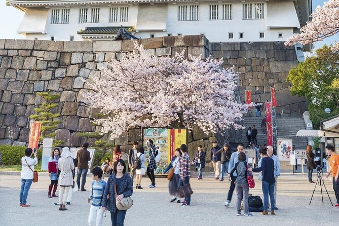 Osaka Private Cherry Blossom Tour with a Local – Picnic Included - A Four Heavenly Kings temple garden pause with entrance fees