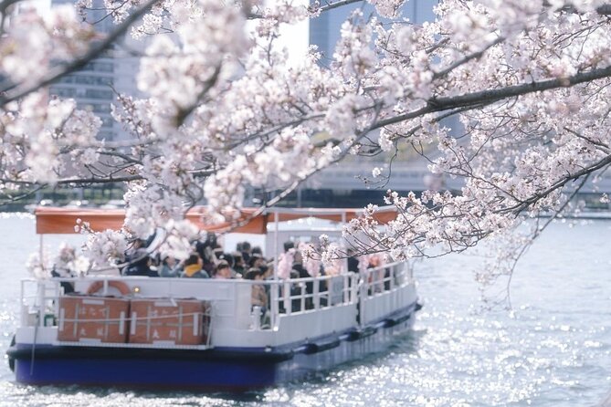 Osaka Private Cherry Blossom Tour with a Local – Picnic Included - Expo Memorial Park: the big-tree park for late March to early April