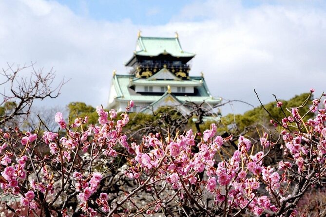 Osaka Private Cherry Blossom Tour with a Local – Picnic Included - Finishing the day along the O River by Osaka Castle Park