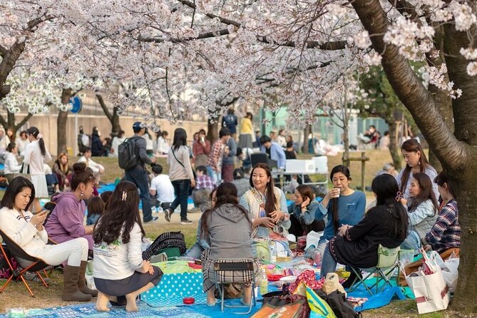 Osaka Private Cherry Blossom Tour with a Local – Picnic Included - Meeting points, pickup, and how the 3 to 4 hours actually works