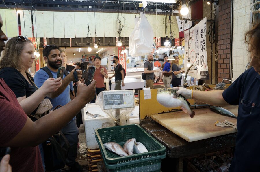 Osaka Private Custom Tour with Local Guide - Value check: what you’re paying for at about $24 per person