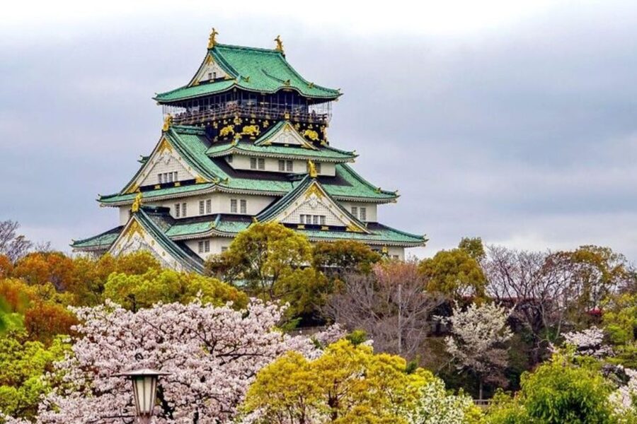 Osaka: Private Custom Walking Tour with a Local Guide - How guides make or break the day, and what the reviews reveal