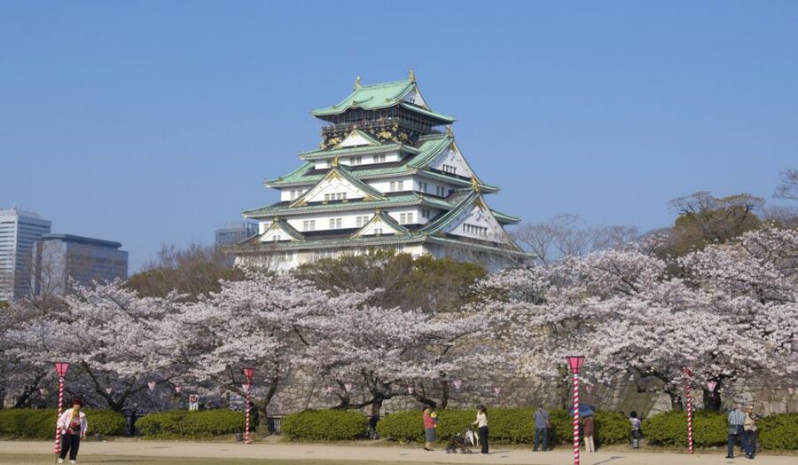 Osaka: Private Customizable Day Tour with Hotel Transfer - Why a private charter feels better than riding solo in Osaka