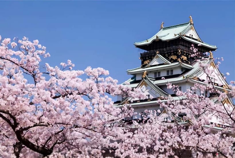 Osaka: Private Customizable Day Tour with Hotel Transfer - Picking up in Osaka city, and how to meet your driver