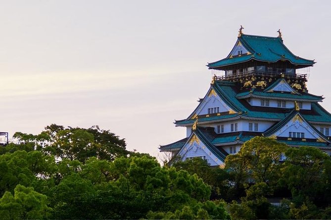 Osaka Private Customizable Full Day Tour - Warm-up at the Ferris wheel and aquarium area