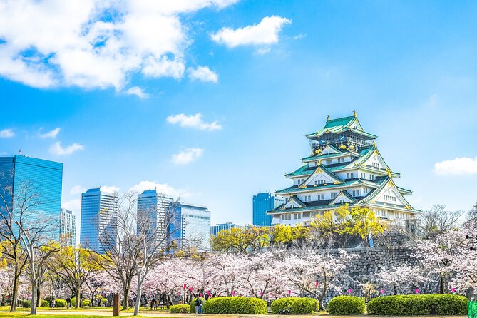 Osaka Private Day Trip - Enjoy Your First-Time Visit to Osaka! - Key highlights at a glance