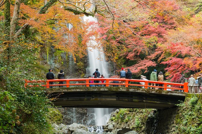 Osaka Private Food Tours by Local Foodies: 100% Personalized - Price and Timing: What $186.57 Buys in Osaka