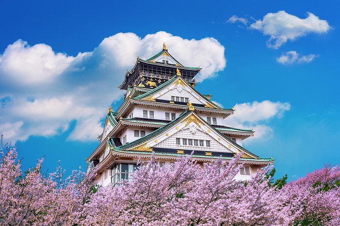 Osaka Private Food Tours by Local Foodies: 100% Personalized - Dotonbori Canal Night Bites: Takoyaki and Okonomiyaki