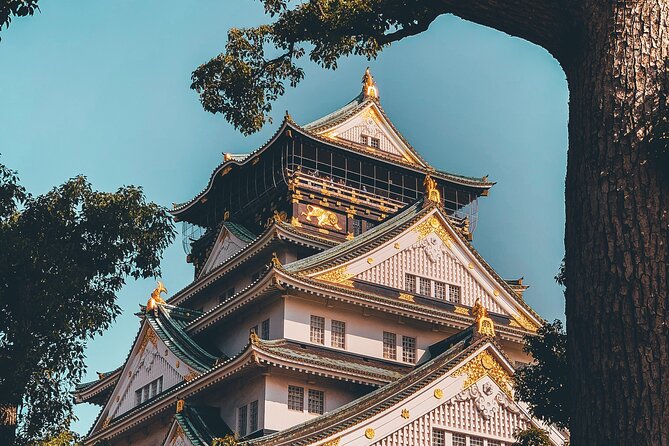 Osaka Private Hightlights Tour Customizable & English Driver - Shitennoji: one of Osaka’s oldest temple grounds