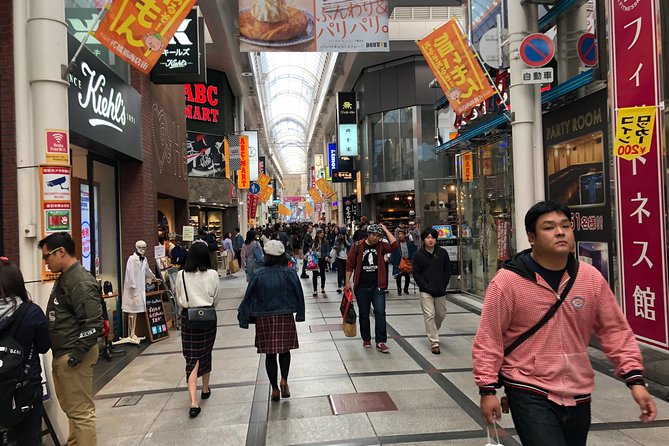 Osaka Private Pop Culture Tour: Historic Tenma to Dotonbori - Price and what you get for about $243.73