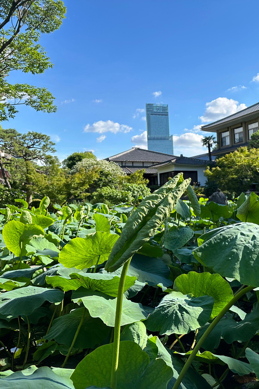 Osaka: Private Tour of Shitennoji, Osaka's Oldest Temple - The viewpoint stop, and why it’s useful inside a temple visit