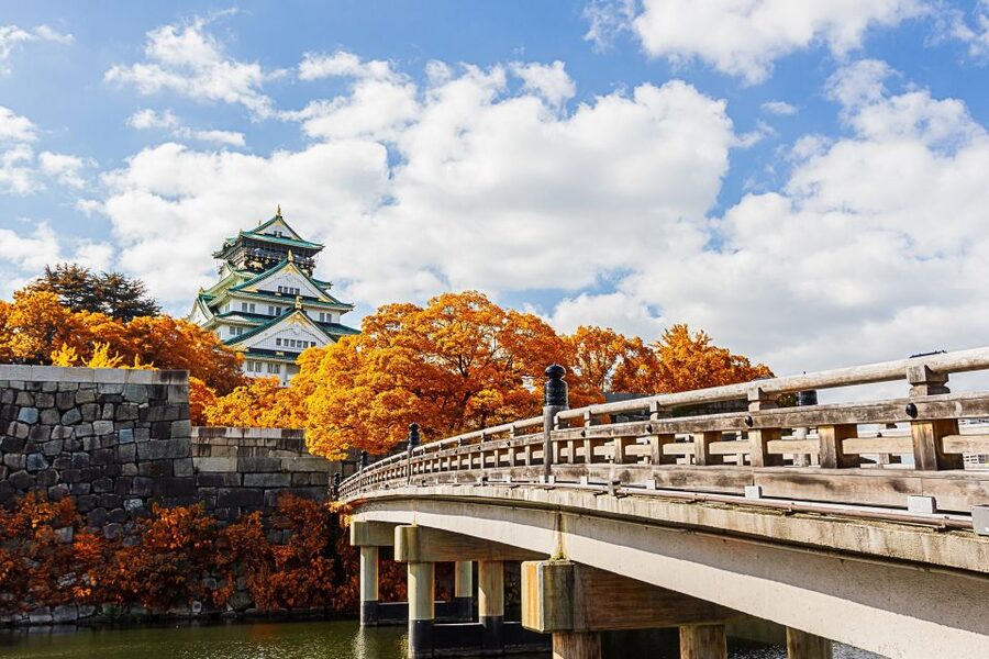 Osaka Private Tour with Government-Licensed Guide - Languages, private group comfort, and who this suits best