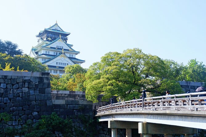 Osaka Private Walking Tour with a Local - Who this Osaka walking tour suits best