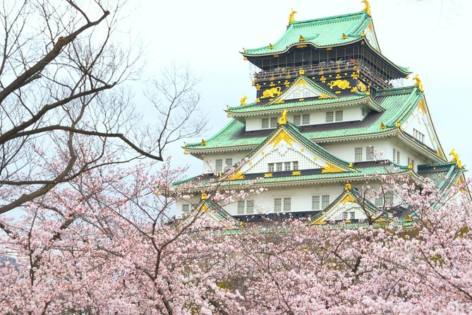 Osaka Private Walking Tour with a Local - Price and value, what $55 really buys