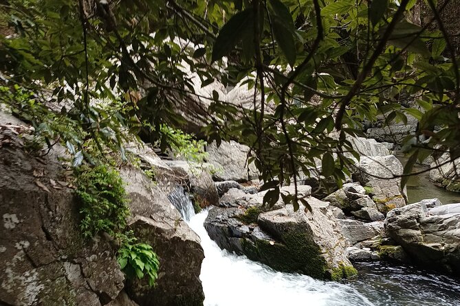 Osaka River Rapids Hike and Natural Hot Spring tour - Stop 2 Settsukyo Park: a breather with seasonal charm