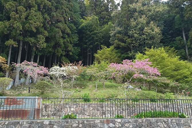 Osaka River Rapids Hike and Natural Hot Spring tour - Stop 3 Bijin-yu Shofuen onsen: real etiquette, real heat, and nudity