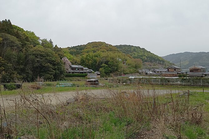 Osaka River Rapids Hike and Natural Hot Spring tour - How much is this really, and is it worth it?