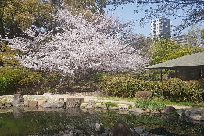Osaka’s Best and Brightest: Private Full-Day Tour by Vehicle - Harukas and Tennoji: lunch and a 300m skyline trip