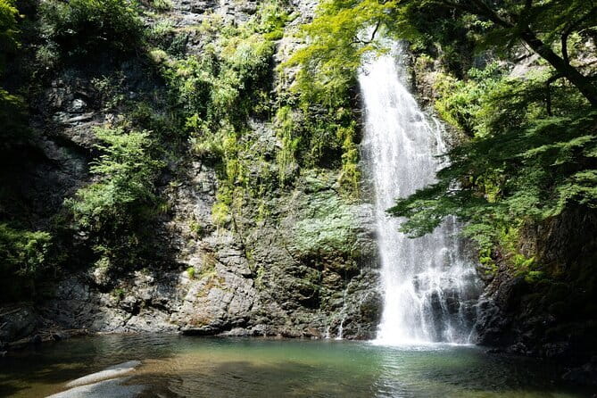 Osaka's Secret Adventures: Daruma Magic and Minoh Falls - Price and what makes it feel like value