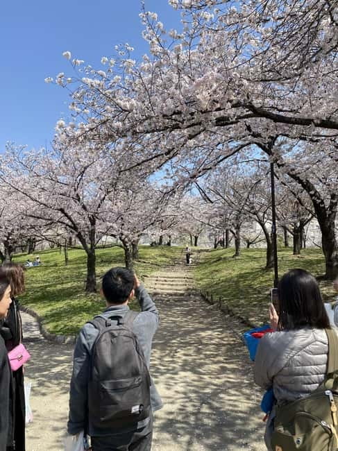 Osaka: Springtime Sakura Picnic "Hanami" - The picnic break: local snacks plus sake and other drinks