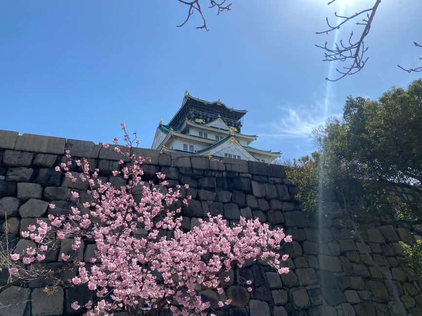Osaka: Springtime Sakura Picnic "Hanami" - Price and value: what $54 buys you in Osaka springtime