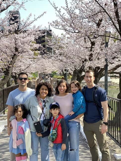 Osaka: Springtime Sakura Picnic "Hanami" - Who this tour suits, and who should rethink it