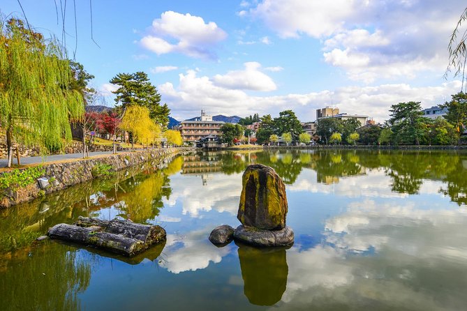 Osaka to Nara Day Trip with a Local – Private & Personalized - The 9-hour plan, stop by stop (and what to watch for)