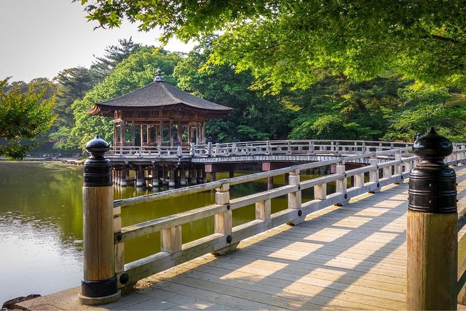 Osaka to Nara Day Trip with a Local – Private & Personalized - Small risks and how to prevent disappointment