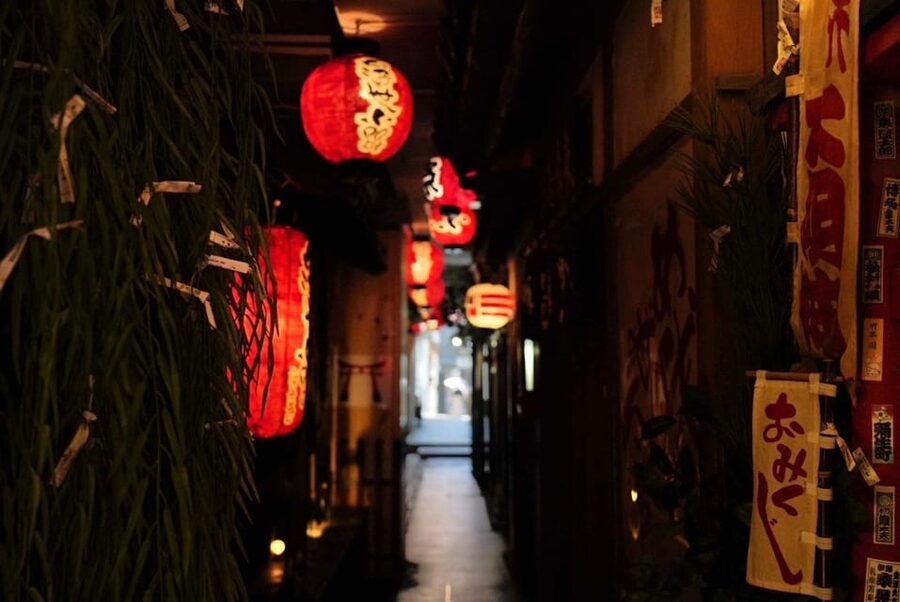 Osaka Top Highlights with English Speaking Guide - Public Transportation Fare: Budgeting the Extra Cost
