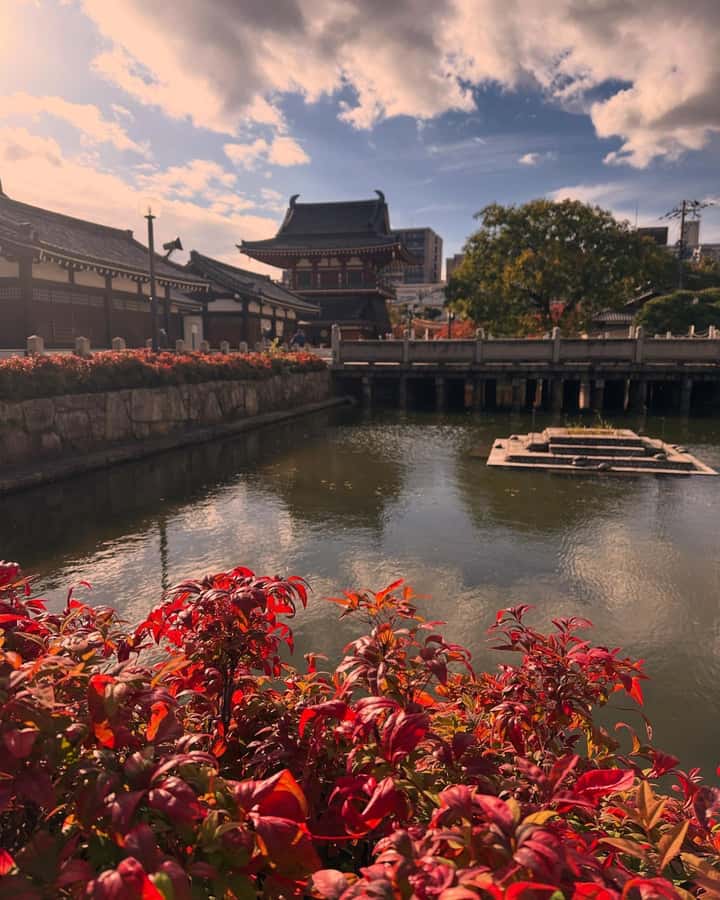 Osaka: Visit the must-see places. - Price and value: what $73 really buys you