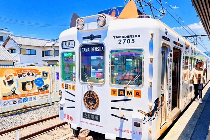 Osaka Wakayama Cat Train, Seafood market, Hot Springs Tour - Key highlights you will feel on this trip