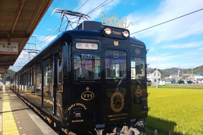 Osaka Wakayama Cat Train, Seafood market, Hot Springs Tour - From Nipponbashi to Kishi Station: the cat train start you will remember